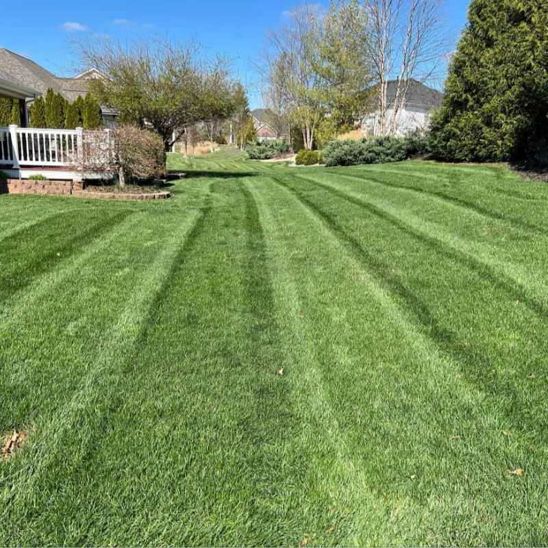 Lawn Maintenance Services